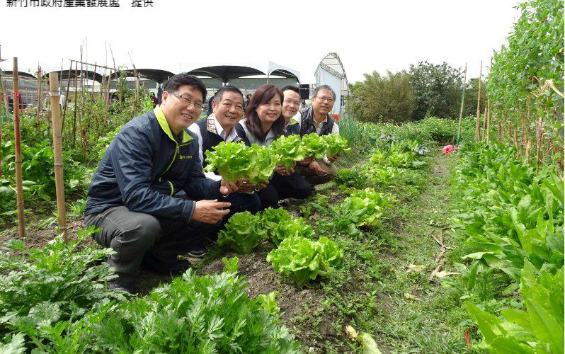 放下手機　在都市也能當農夫